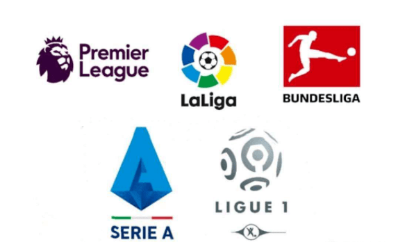 这不仅证明 这不仅证明